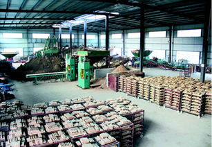 通江福德源陶瓷廠建成投產，投資管理助力地方經濟，新增就業崗位200個